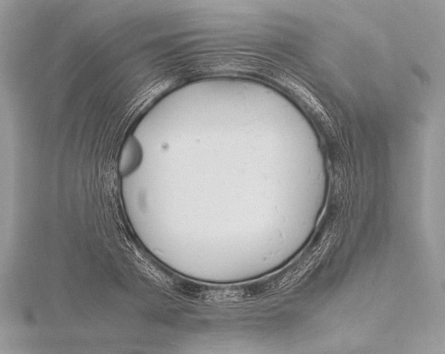 X0000115760793200912041409