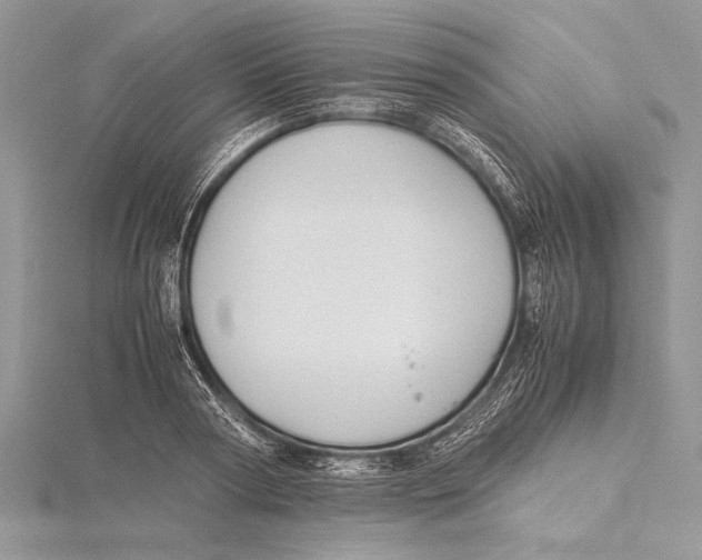 X0000115760794200912041409