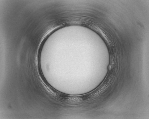 X0000115760795200912041409