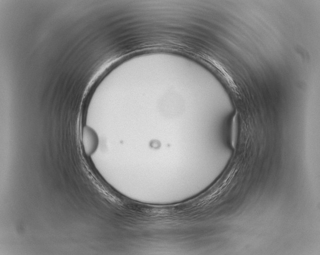 X0000115760796200912041409