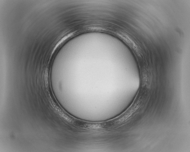 X0000115760798200912041409