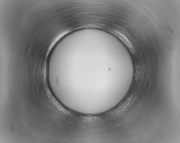 X0000115760804200912041409