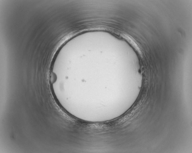 X0000115760805200912041409