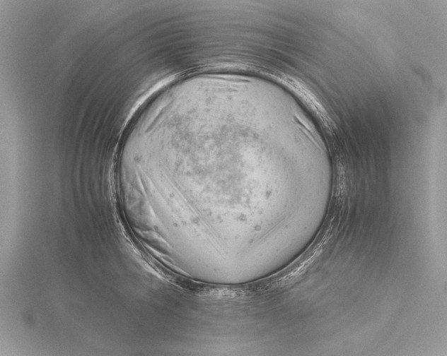 X0000115760806200912041409