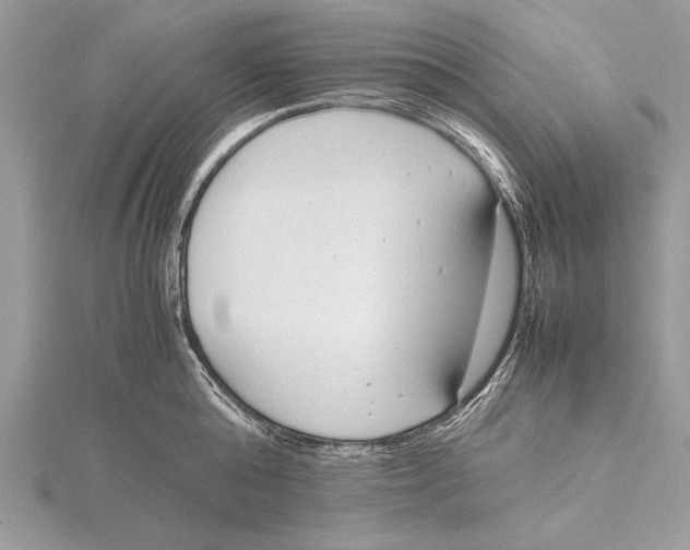 X0000115760808200912041409