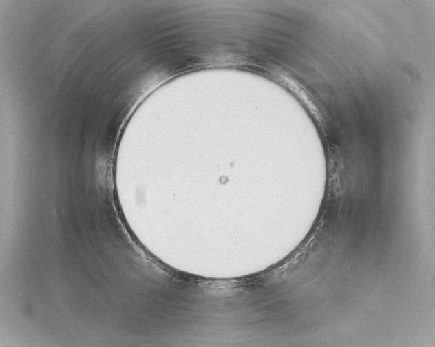 X0000115760810200912041409