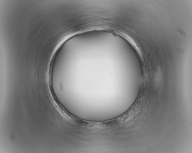 X0000115760811200912041409