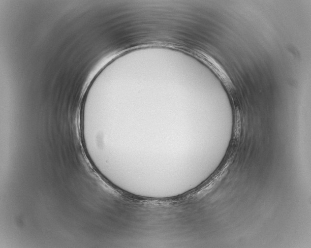 X0000115760812200912041409