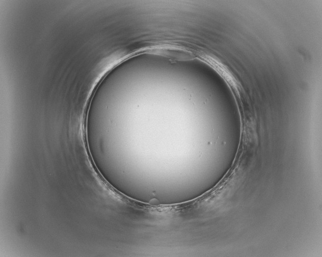 X0000115760813200912041409