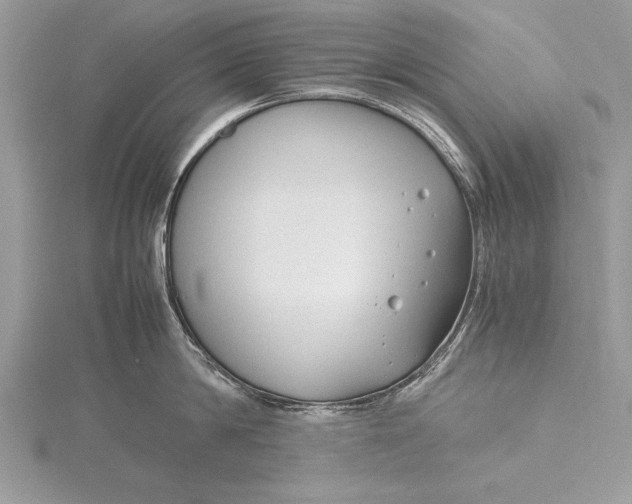 X0000115760814200912041409