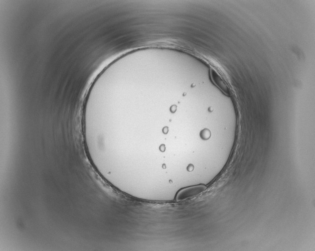 X0000115760816200912041409