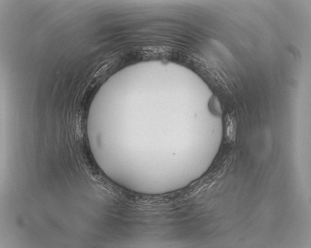 X0000115760819200912041409