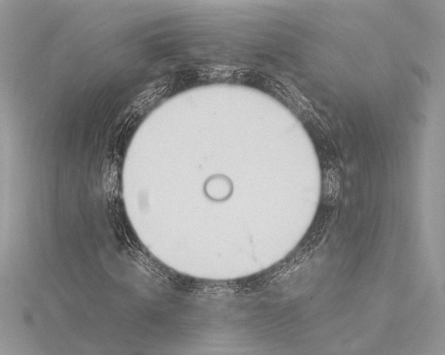 X0000115760820200912041409