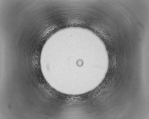 X0000115760824200912041409