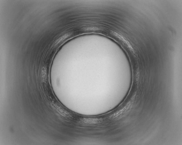 X0000115760825200912041409