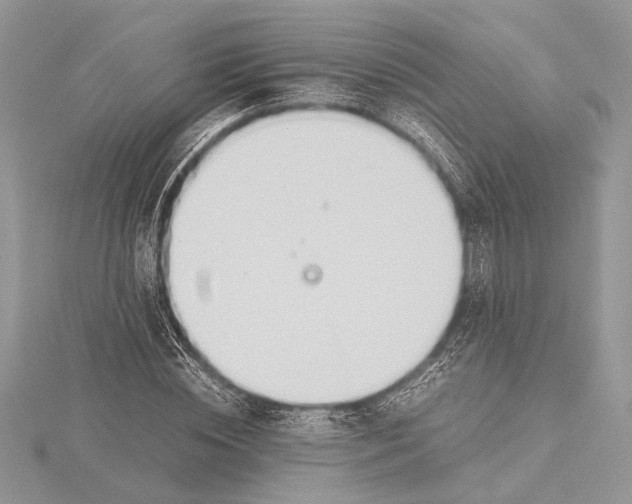 X0000115760828200912041409