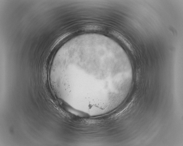 X0000115760829200912041409