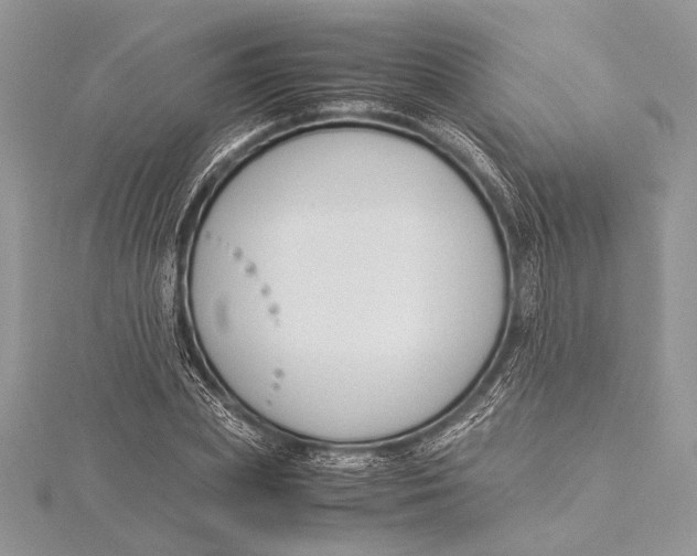 X0000115760831200912041409