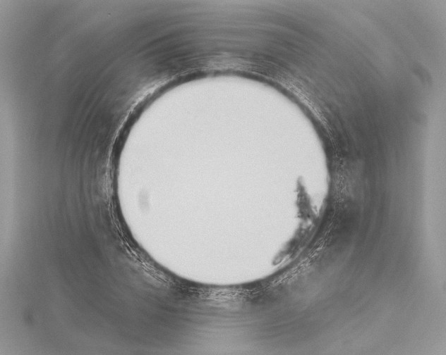 X0000115760832200912041409