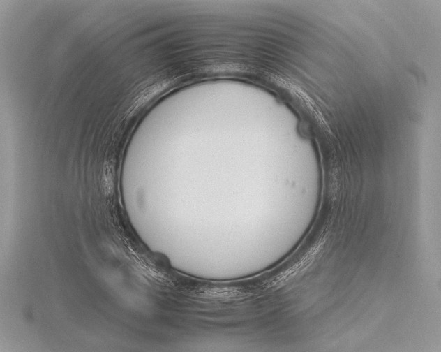 X0000115760833200912041409