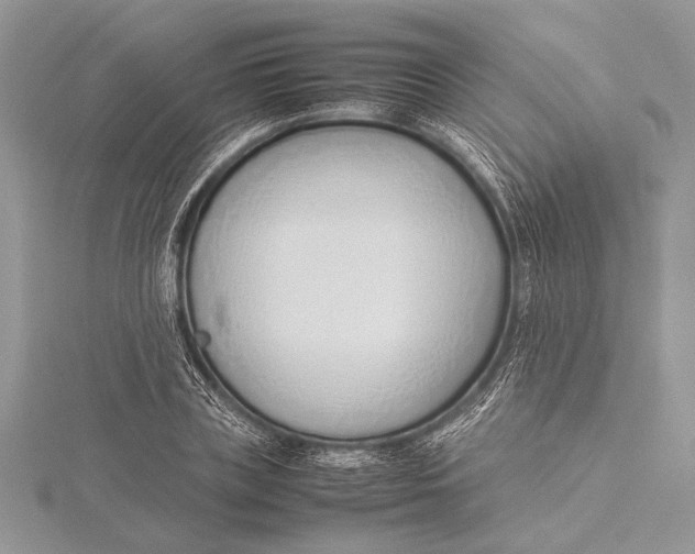 X0000115760835200912041409