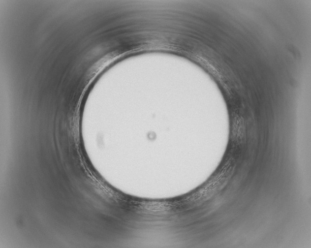 X0000115760836200912041409