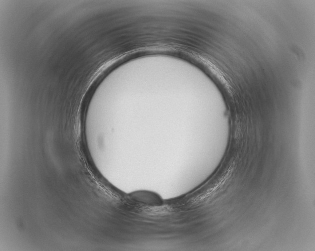 X0000115760837200912041409