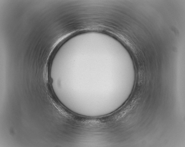 X0000115760838200912041409