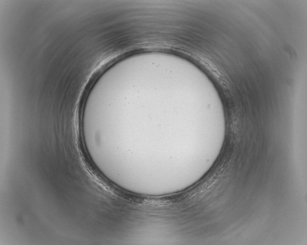 X0000115760840200912041409