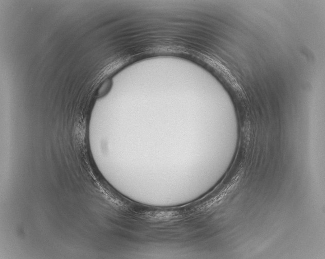 X0000115760841200912041409