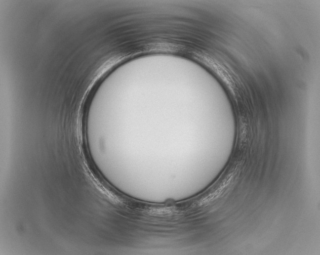 X0000115760843200912041409