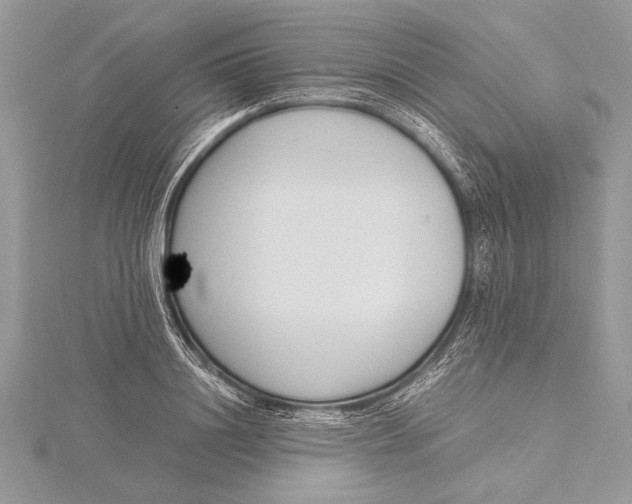 X0000115760844200912041409