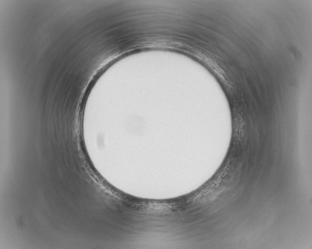 X0000115760848200912041409