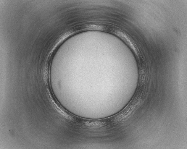 X0000115760851200912041409