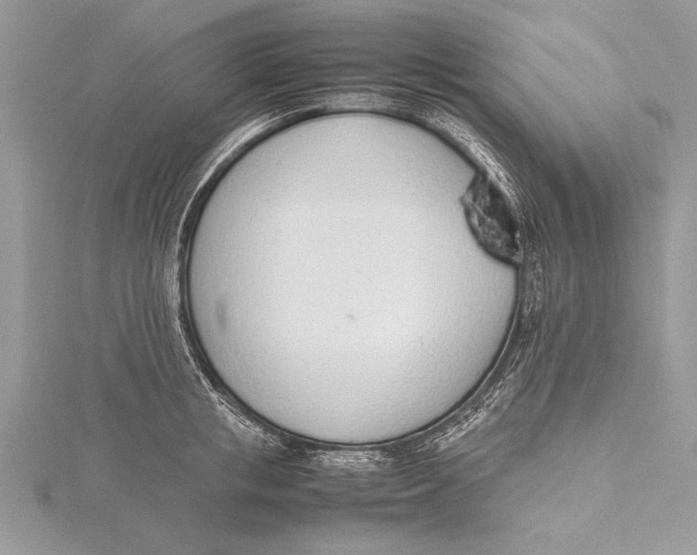 X0000115760853200912041409