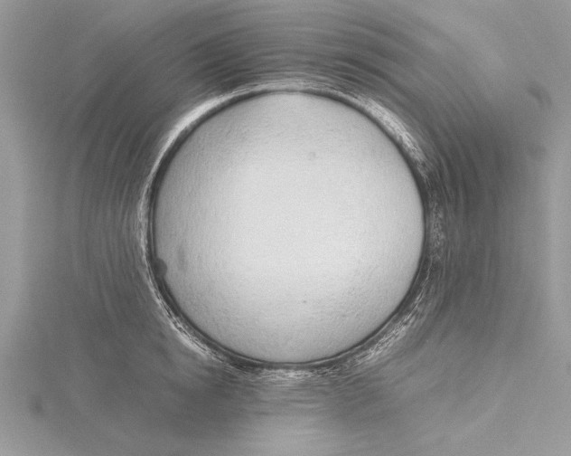 X0000115760854200912041409