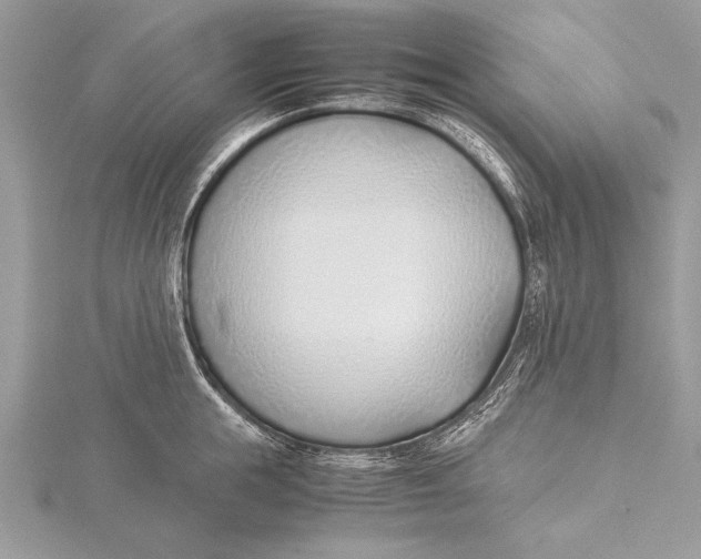 X0000115760855200912041409