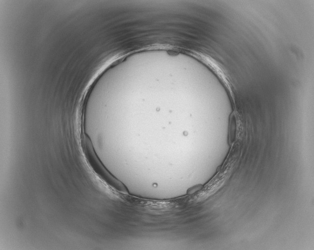 X0000115760859200912041409