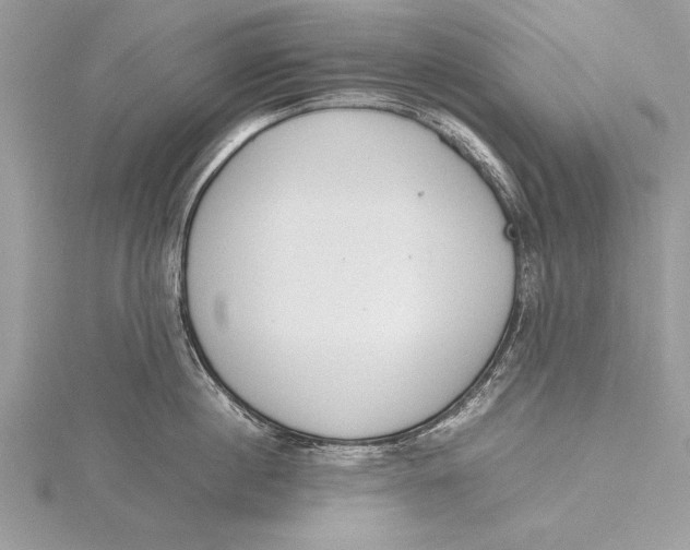 X0000115760860200912041409