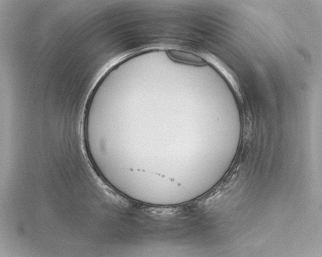 X0000115760861200912041409