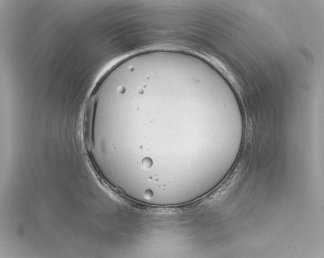 X0000115760862200912041409