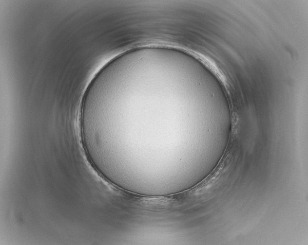 X0000115760863200912041409