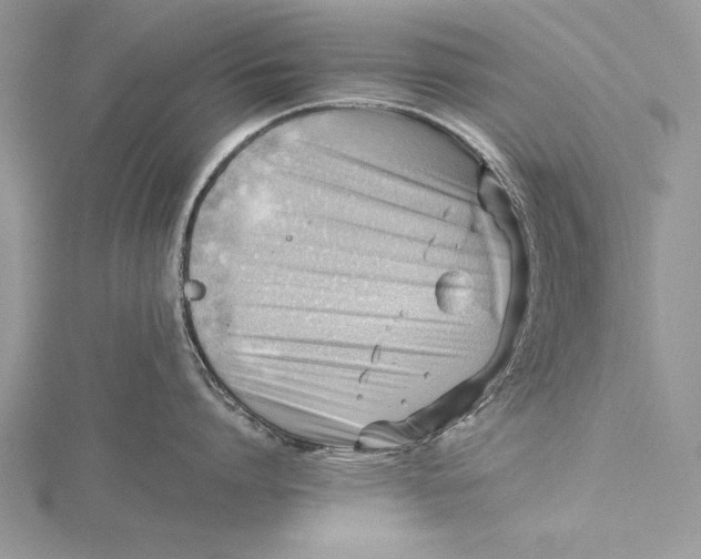 X0000115760864200912041409