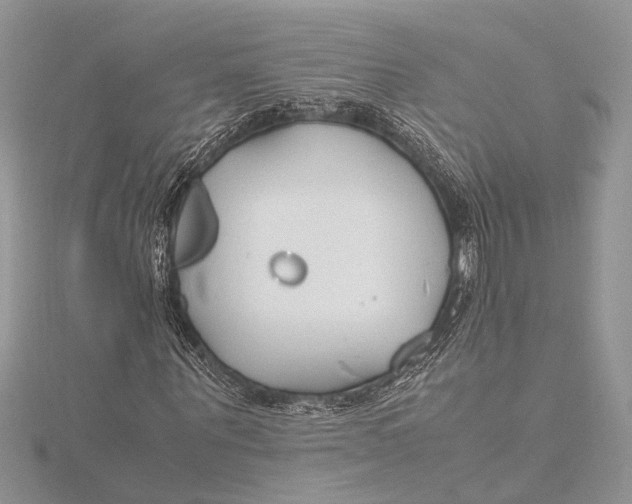 X0000115760867200912041409