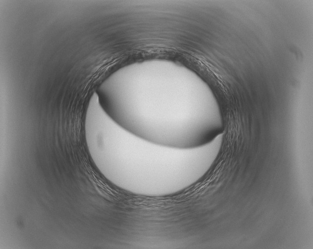 X0000115760868200912041409