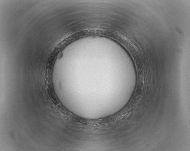 X0000115760870200912041409