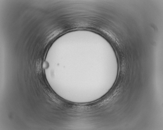 X0000115760873200912041408