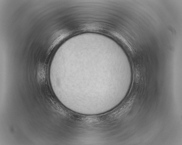 X0000115760874200912041408