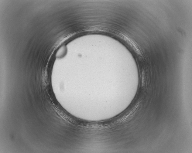 X0000115760876200912041408