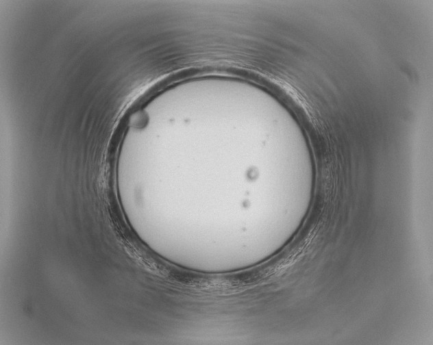 X0000115760879200912041408